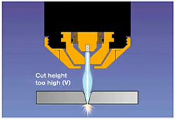 Figure 2 : hauteur de coupe trop élevée (U)