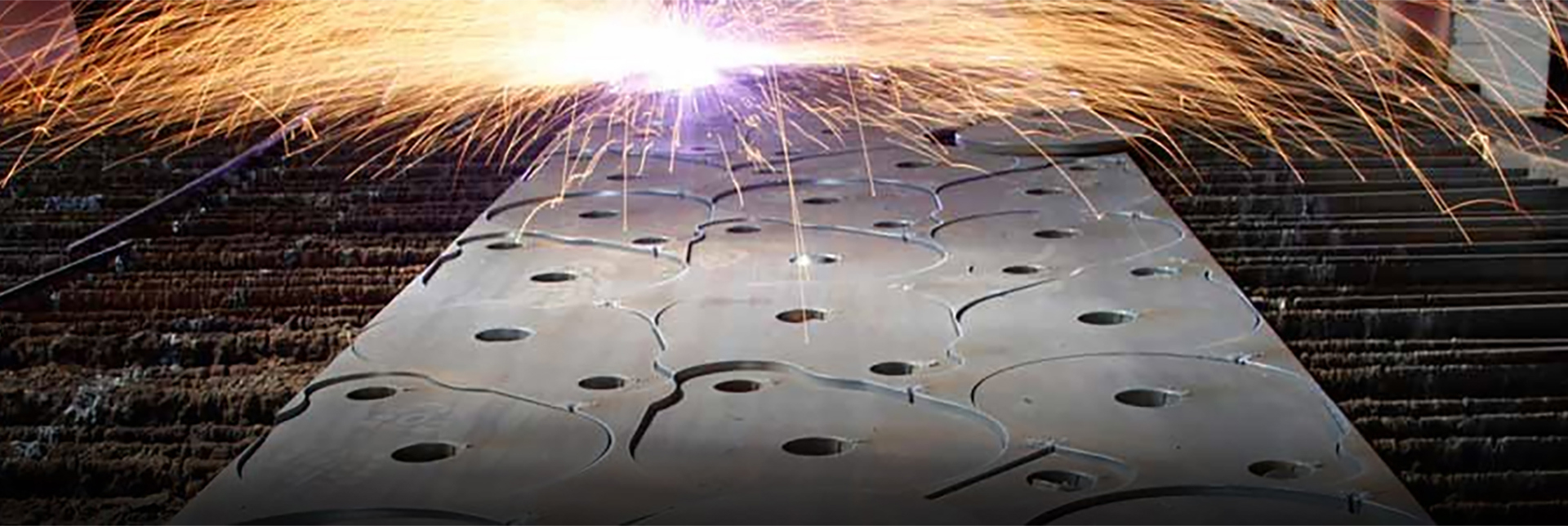 What is nesting software ProNest