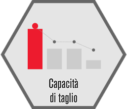 Capacità di taglio