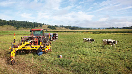 AS_30XP_INT_Farm_6892_590x332.jpg