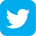 Twitter social icon